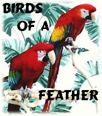 Birds of a Feather Webring